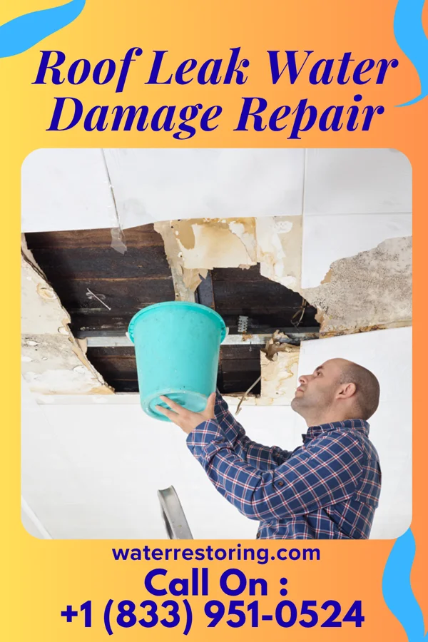 Roof Leak Water Damage Repair in Brady, WA